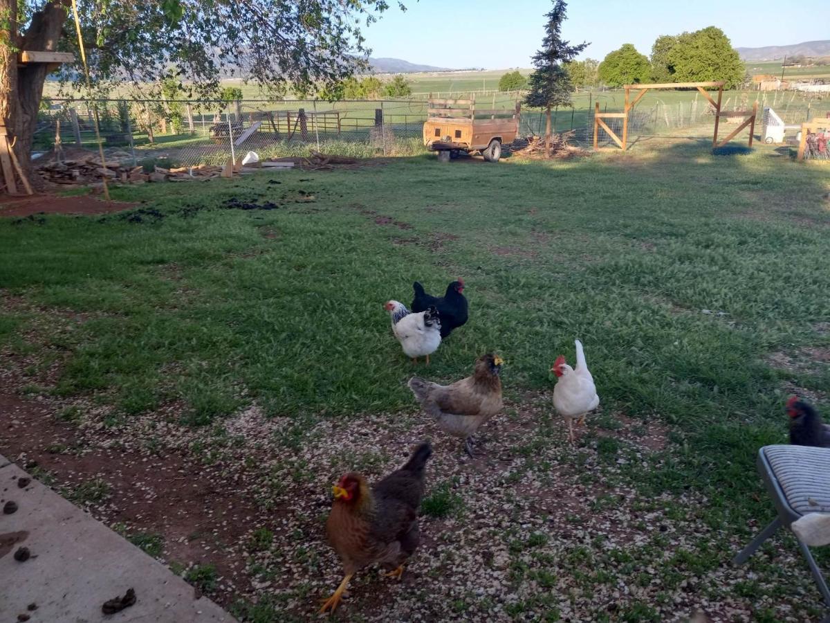 Red Creek Inn And Farm Parowan Esterno foto