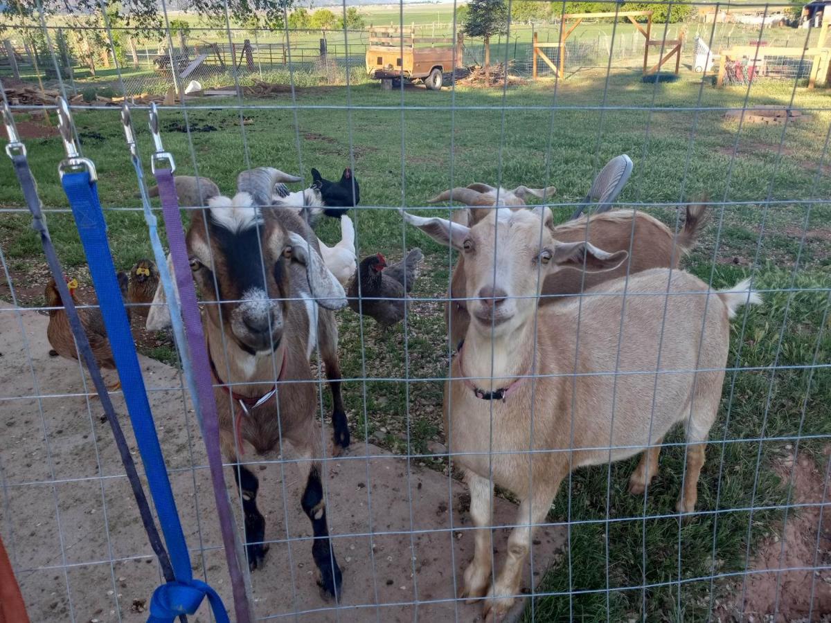 Red Creek Inn And Farm Parowan Esterno foto